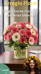 Edad dorada con Gerberas Mediano